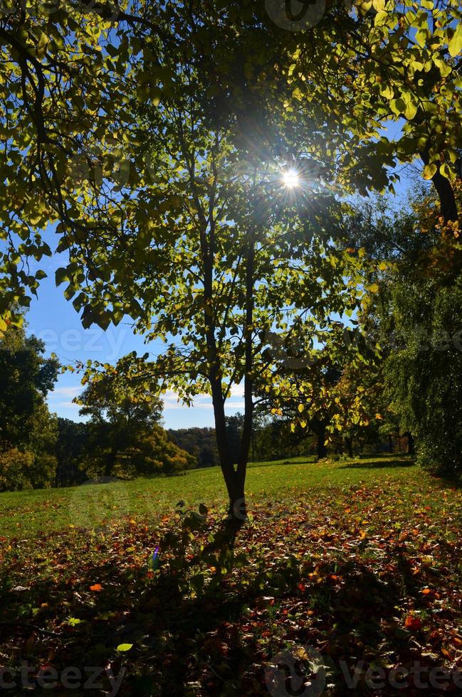 Southeastern Massachuetts autumn landscape in Worlds end park photo