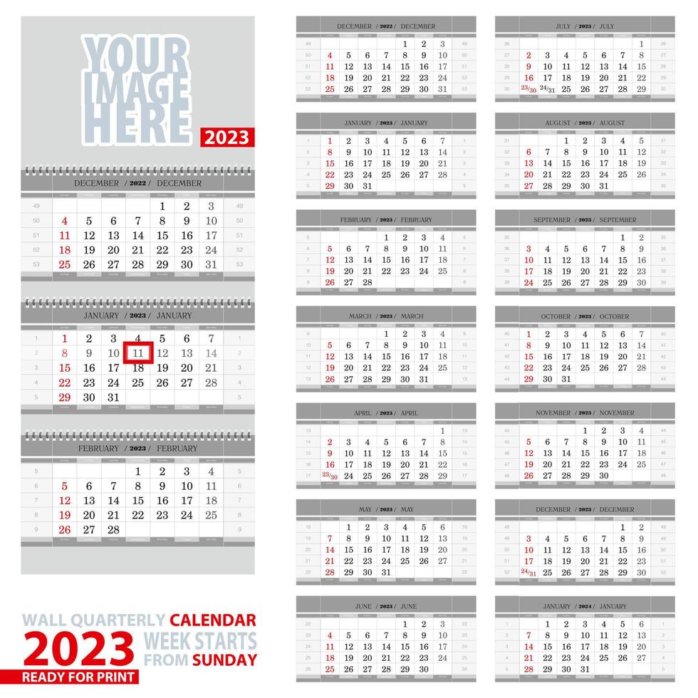 Wall quarterly calendar 2023. Week start from Sunday, ready for print. vector