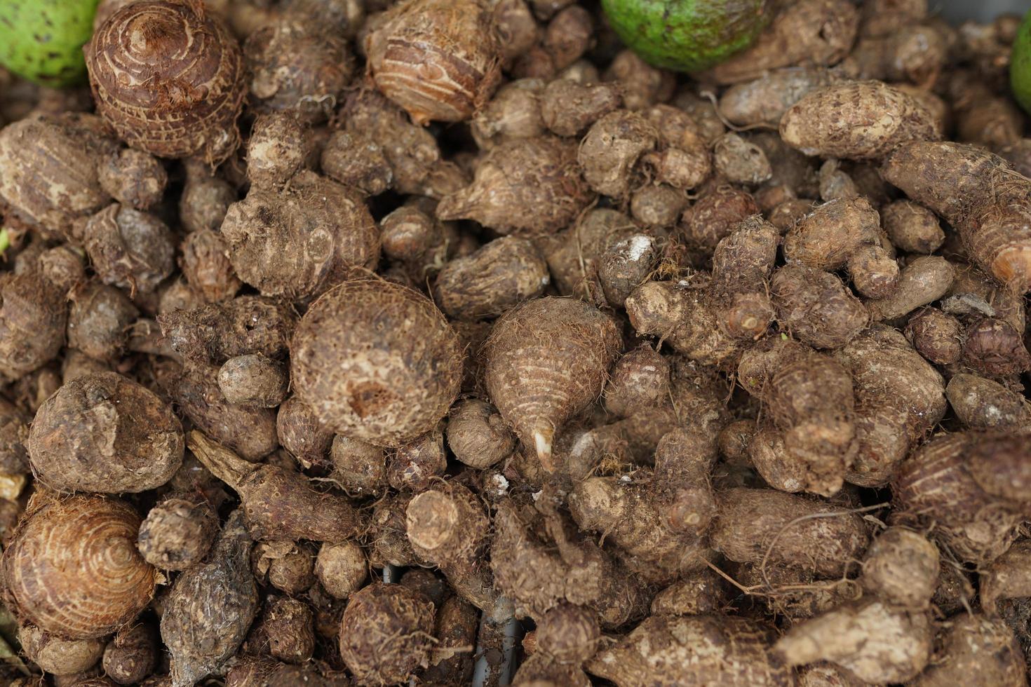 taro saludable y fresco cuidadosamente arreglado para la venta en el mercado. fondo vegetal sano y fresco foto