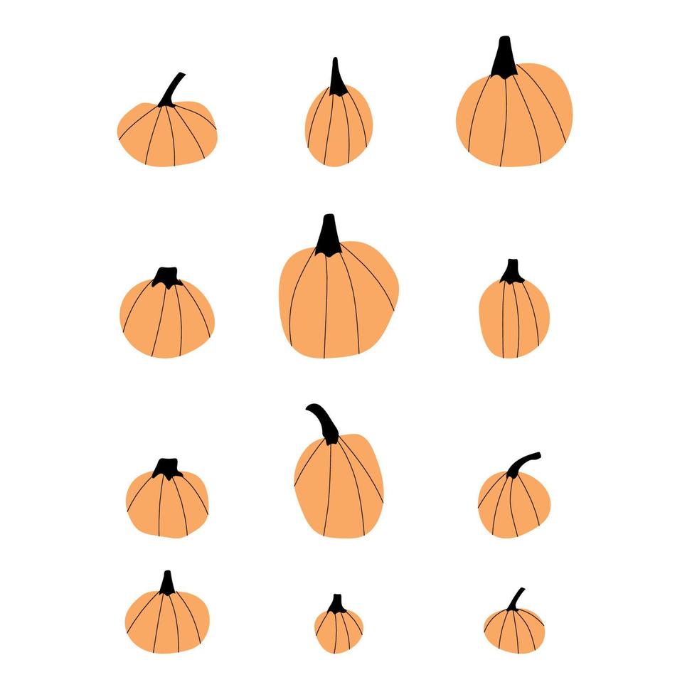 símbolo de agricultura de planta de calabaza de otoño. decoración de otoño comida fresca y saludable. elementos de acción de gracias y halloween. vector