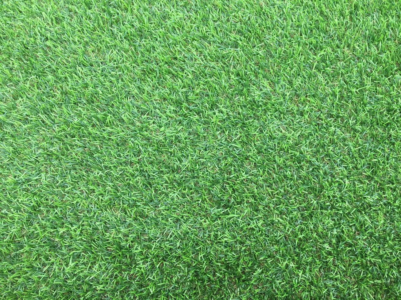 Closeup view of green grass soccer field background. Wallpaper for work and design. photo