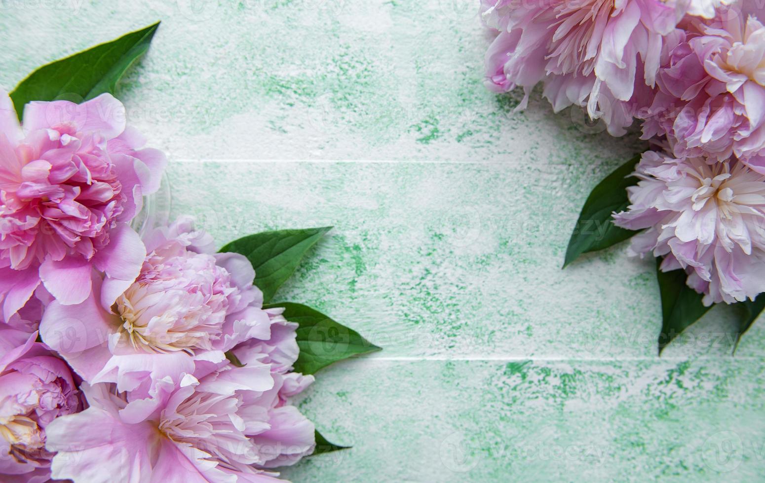 Background with pink peonies photo