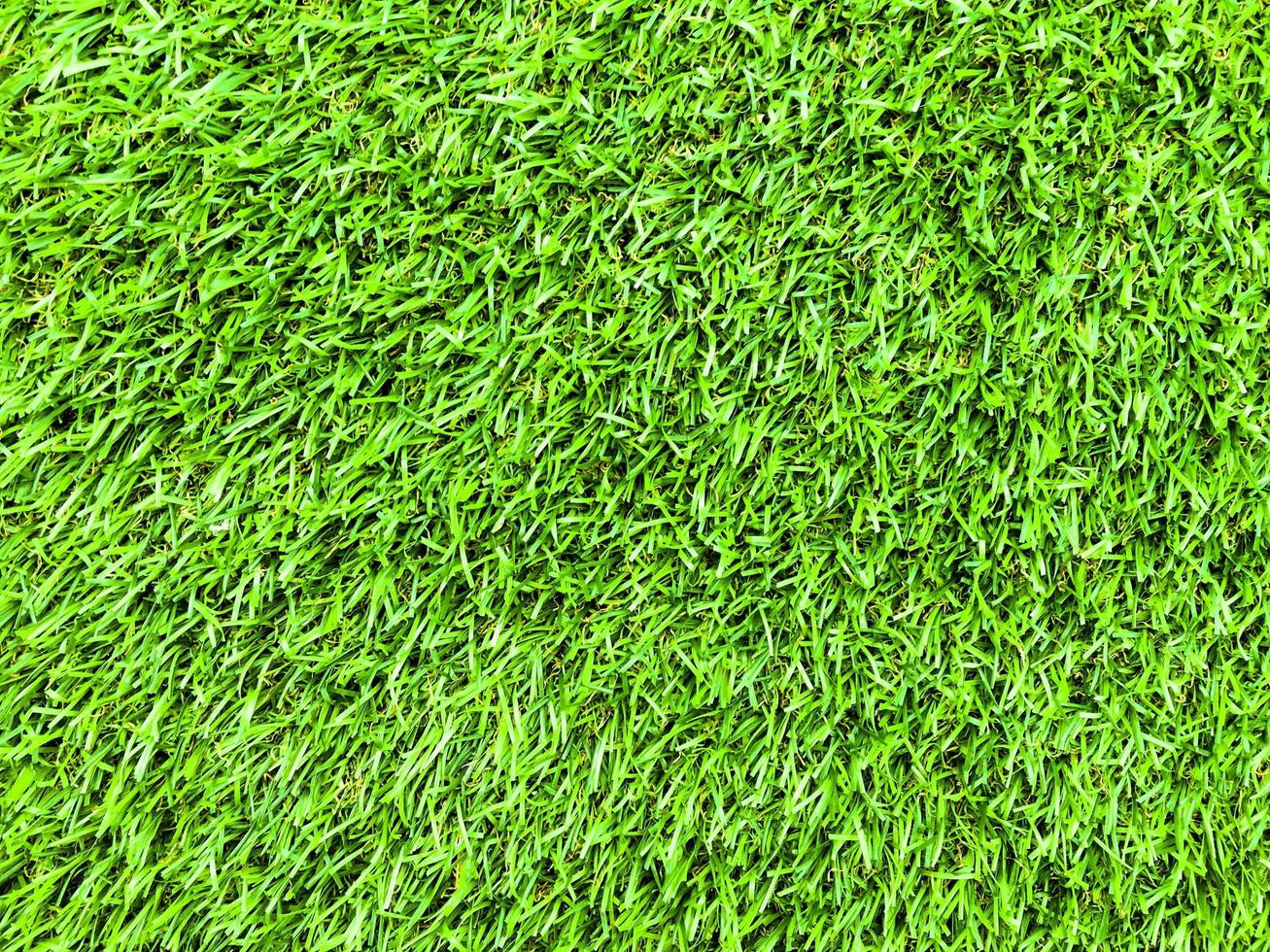 Modern green lawn texture background. Wallpaper for work and design. photo