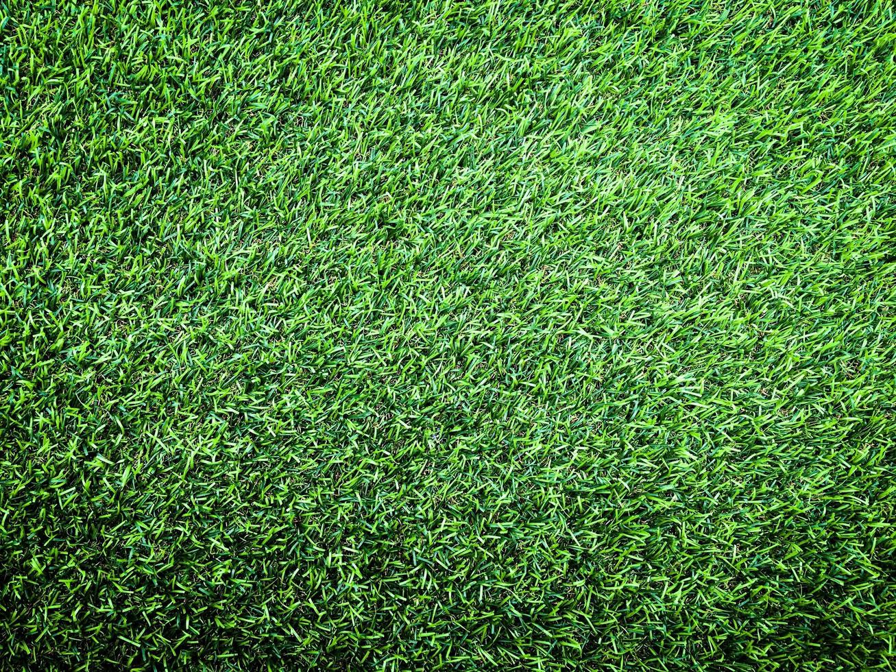 Closeup view of green grass soccer field background. Wallpaper for work and design. photo
