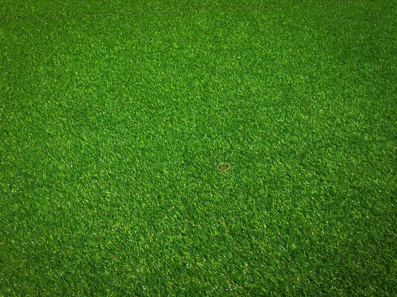 Green grass in the natural background for design photo