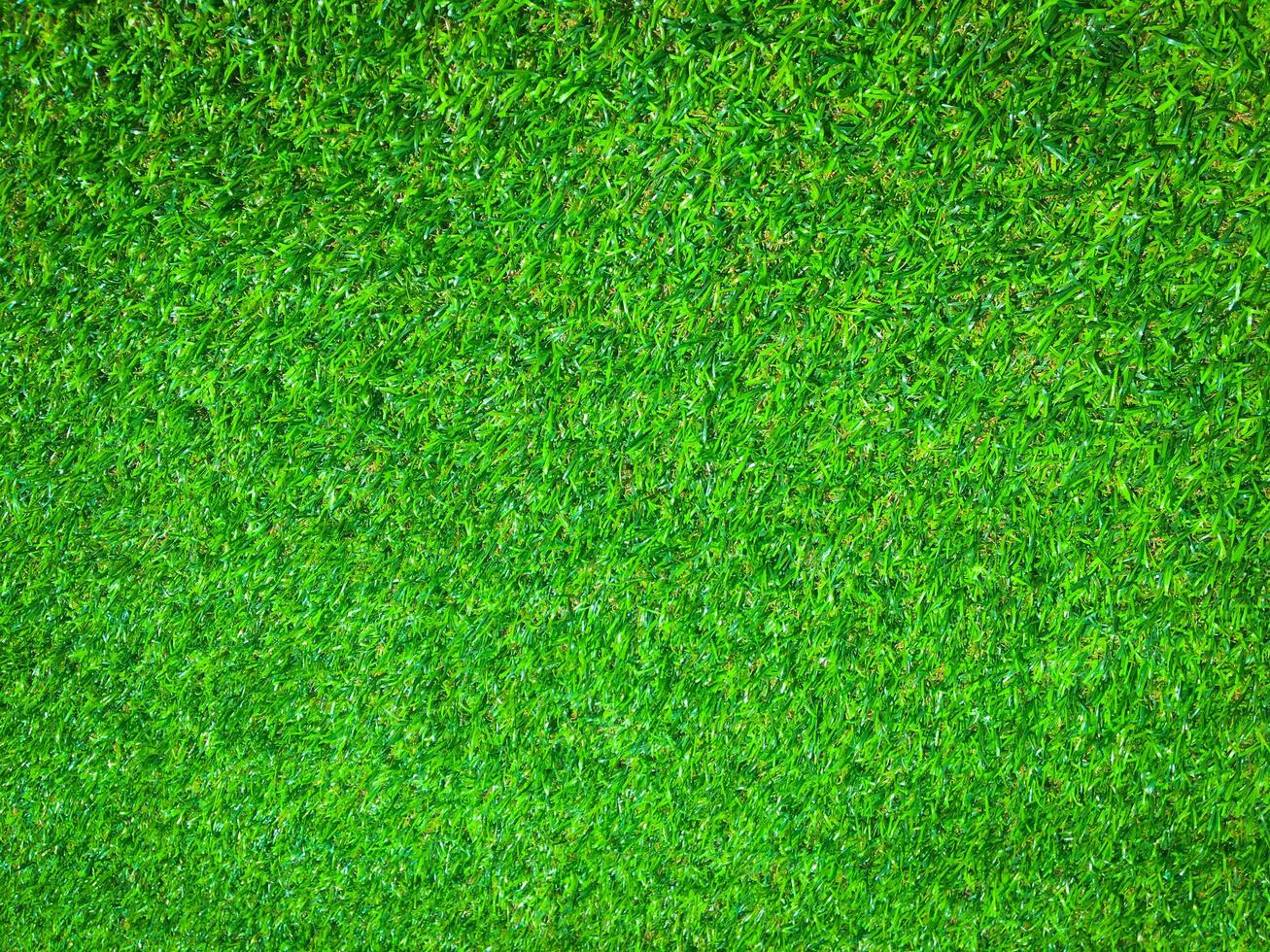 Closeup view of green grass soccer field background. Wallpaper for work and design. photo