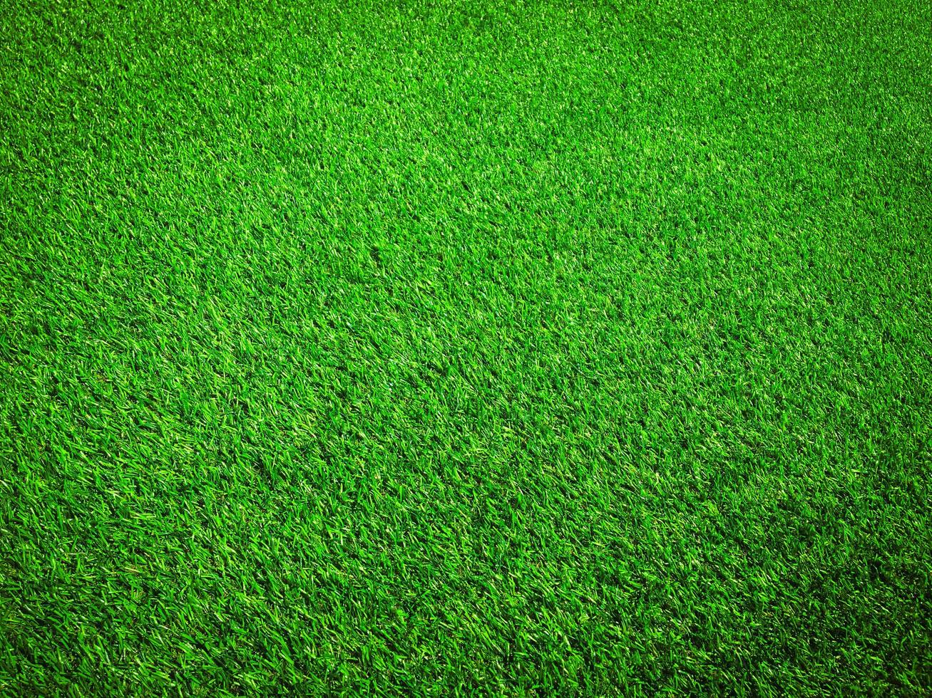 Green grass in the natural background for design photo