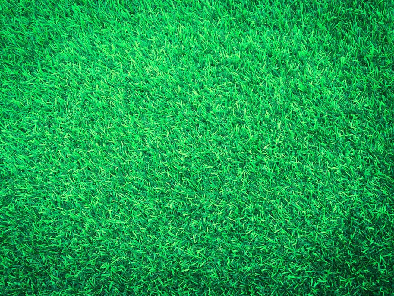 Closeup view of green grass soccer field background. Wallpaper for work and design. photo