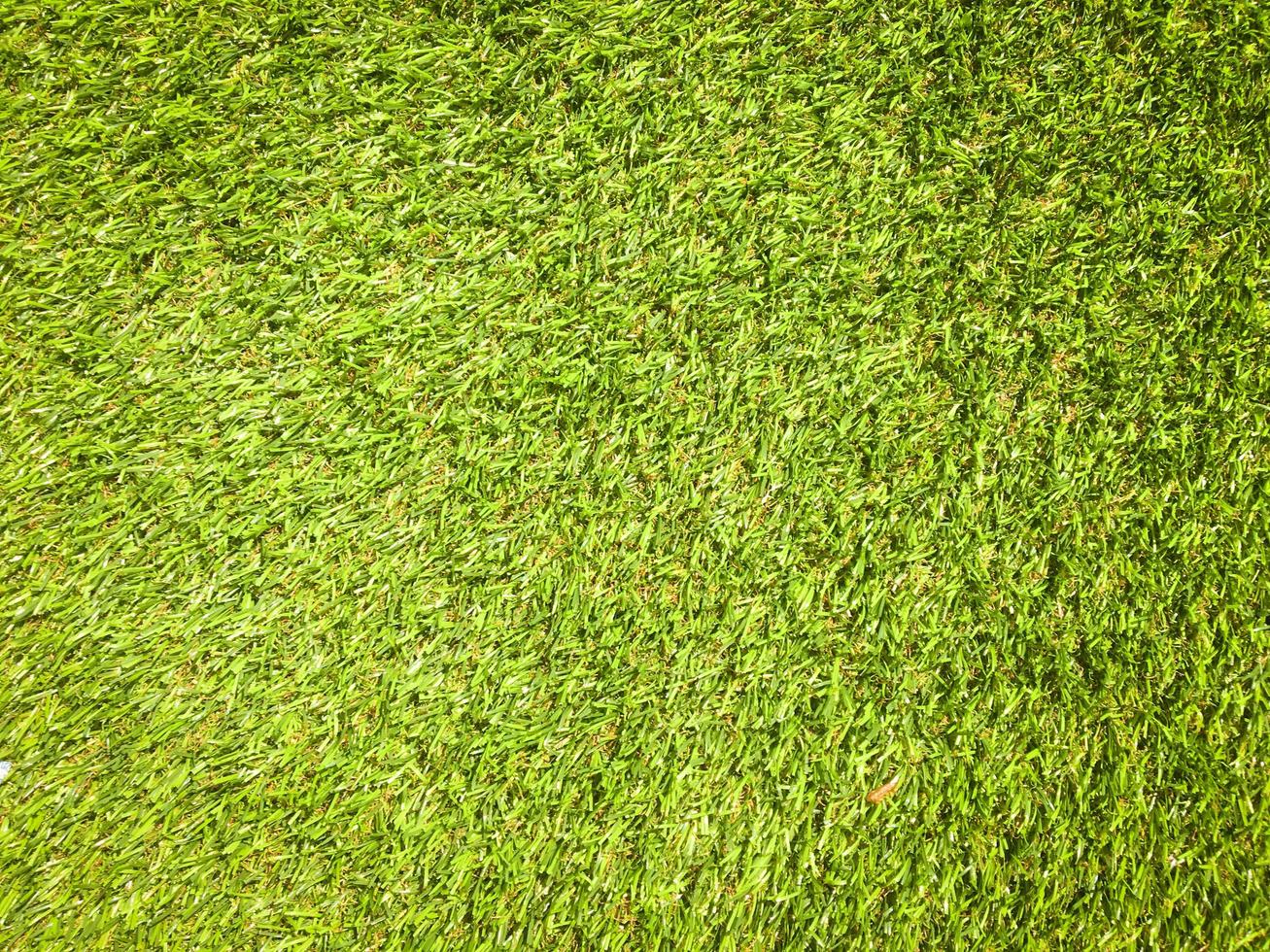 Artificial green lawn backyard for background. Texture for design photo