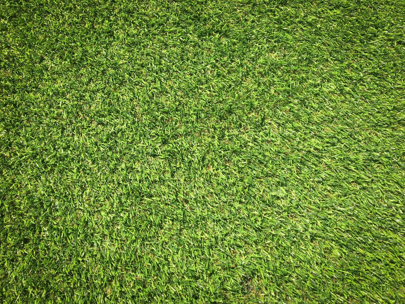 Green grass texture use as natural background. Wallpaper for design artwork photo