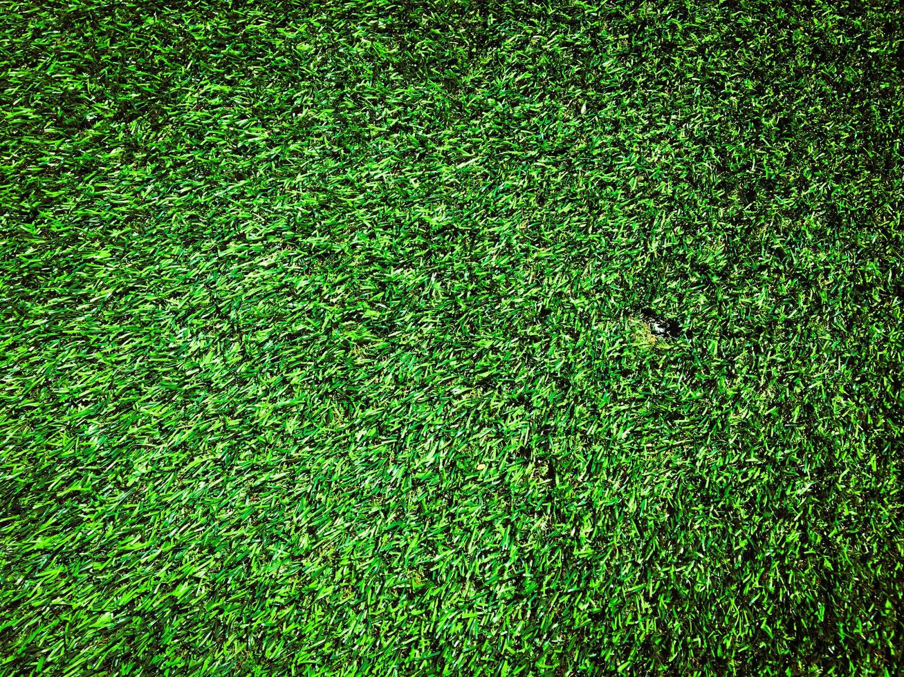 Artificial green lawn backyard for background. Texture for design photo