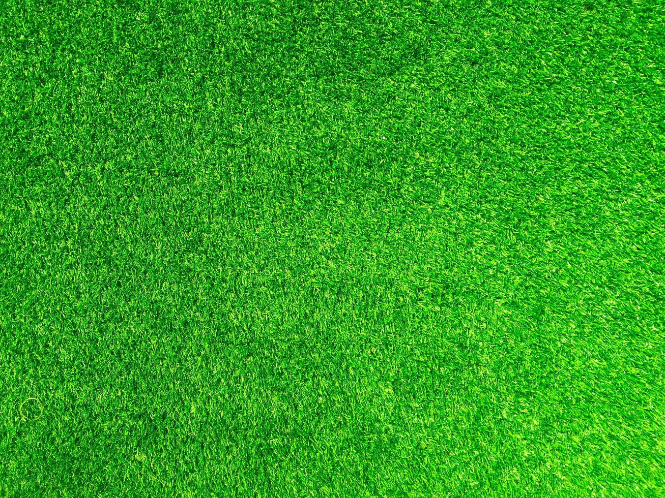 Green grass texture use as natural background. Wallpaper for design artwork photo