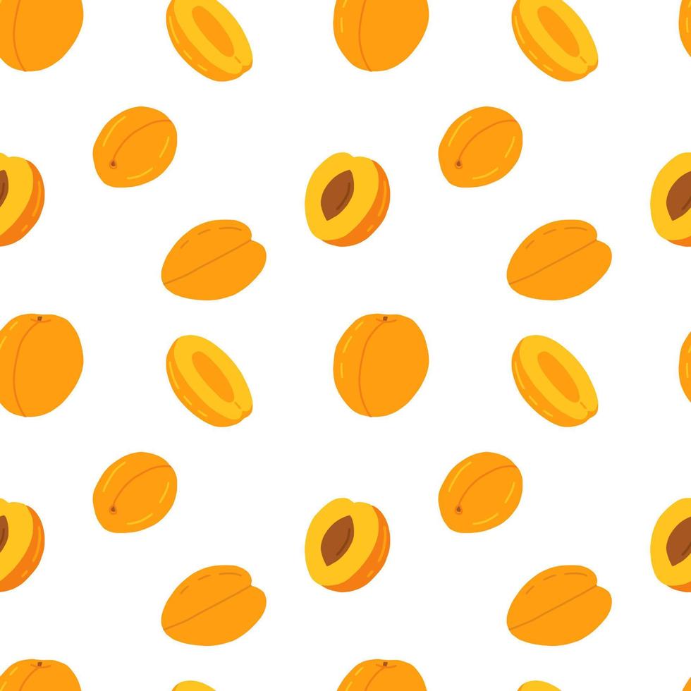 Vector cartoon apricot seamless pattern isolated on white background. Different peach and apricot vector pattern.