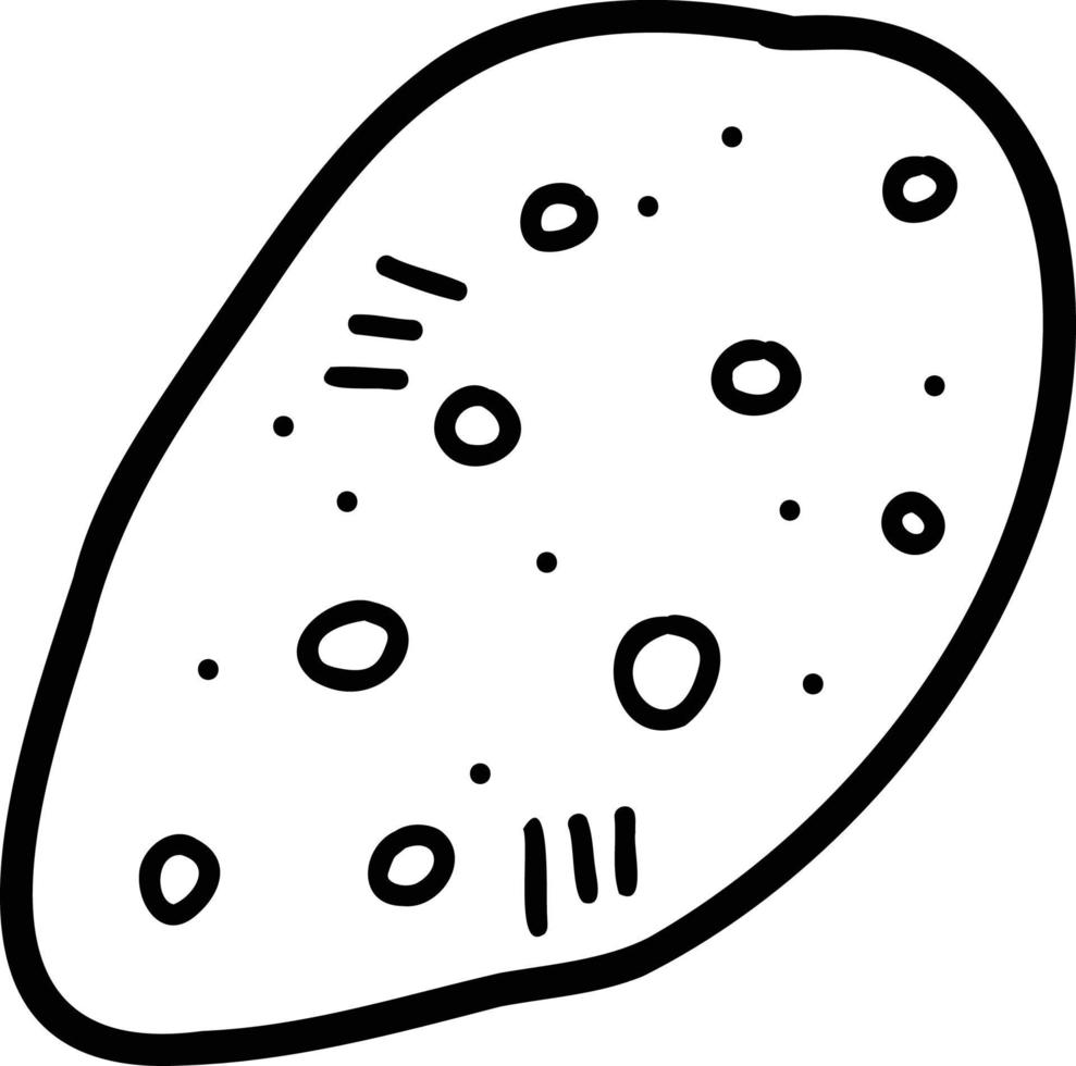 Hand Drawn potato illustration vector