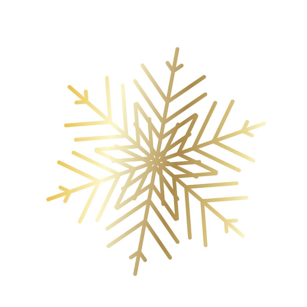 Vector snowflake  web Icon isolated
