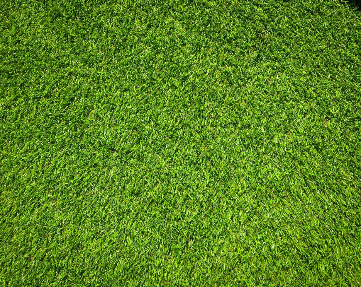 Artificial green lawn backyard for background. Texture for design photo