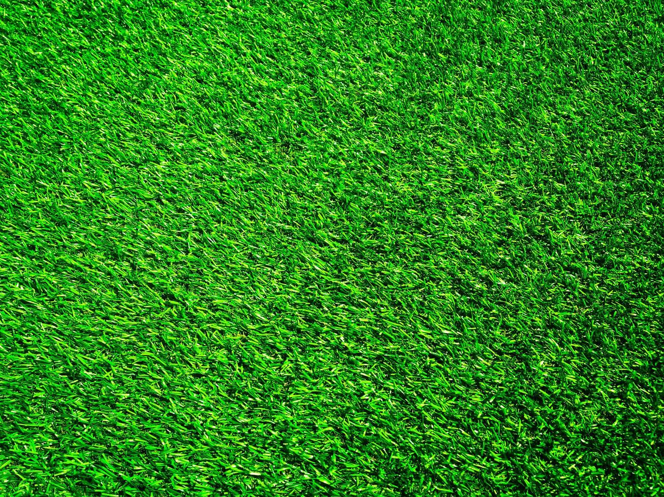 Green grass in the natural background for design photo