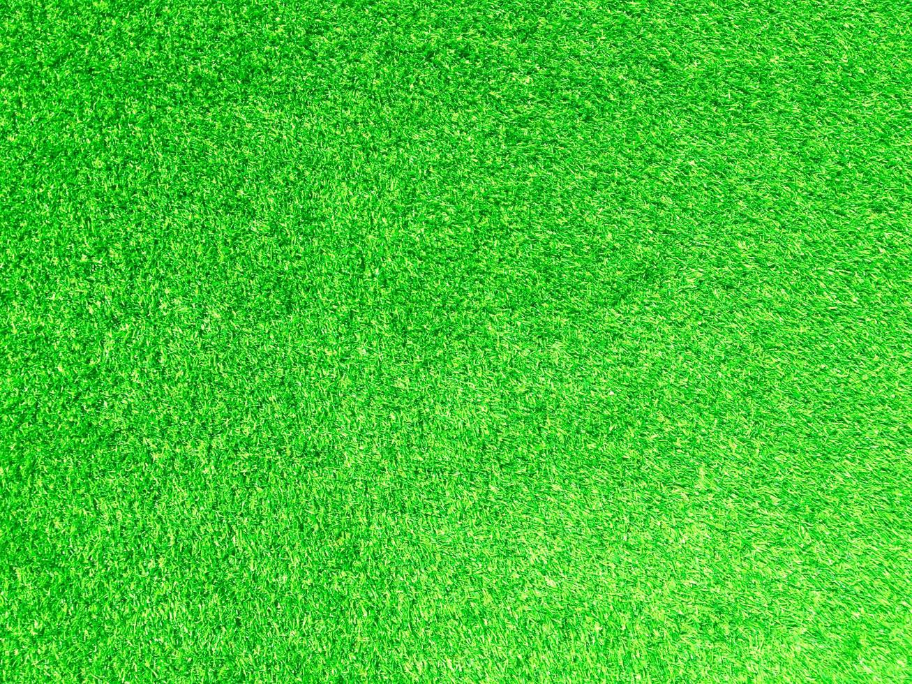 Green grass texture use as natural background. Wallpaper for design artwork photo