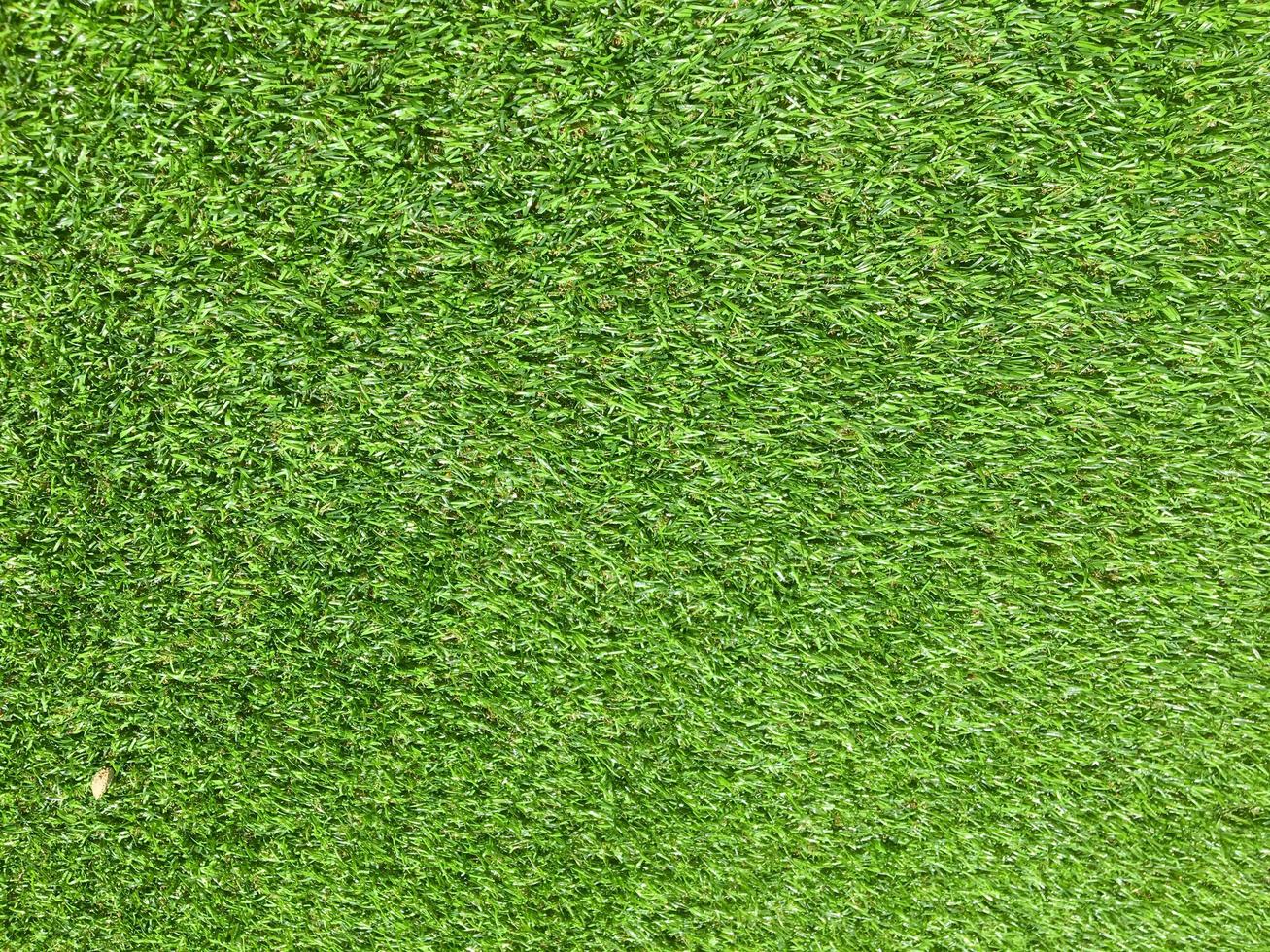 Green grass in the natural background for design photo