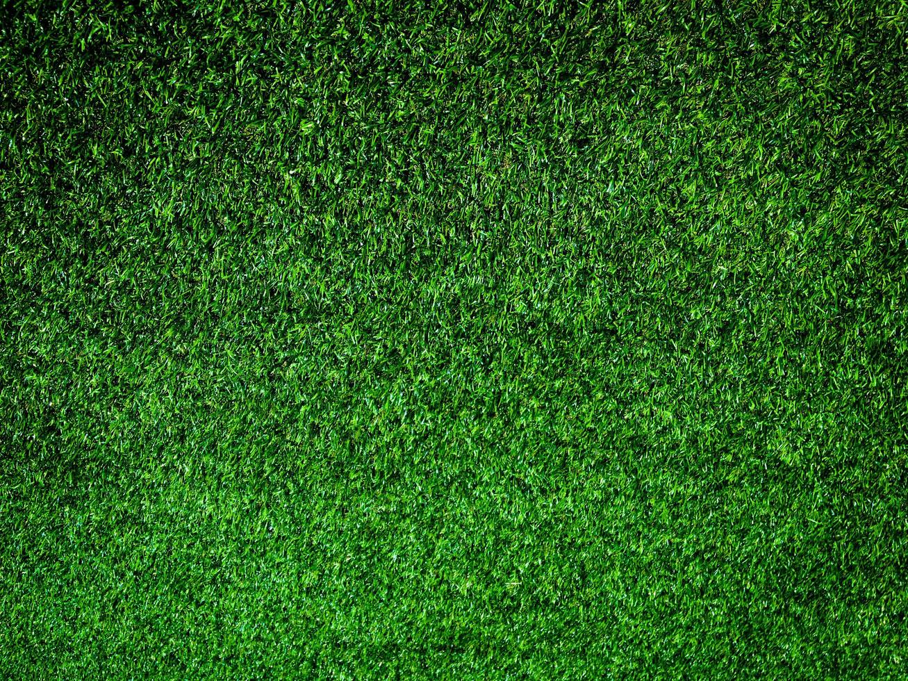 Closeup view of green grass soccer field background. Wallpaper for work and design. photo