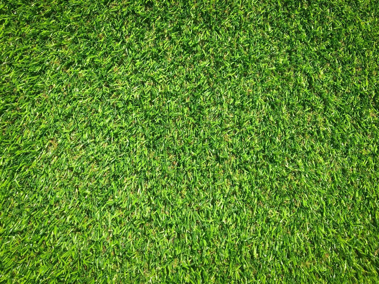 Artificial green lawn backyard for background. Texture for design photo