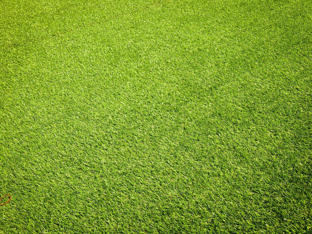 Green grass in the natural background for design photo