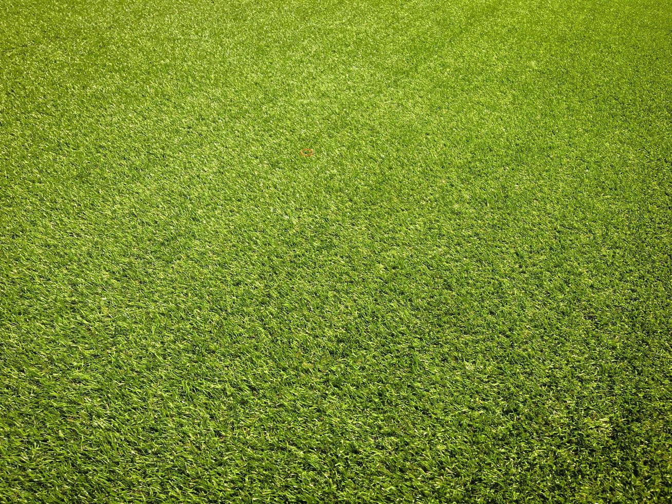 Green grass in the natural background for design photo