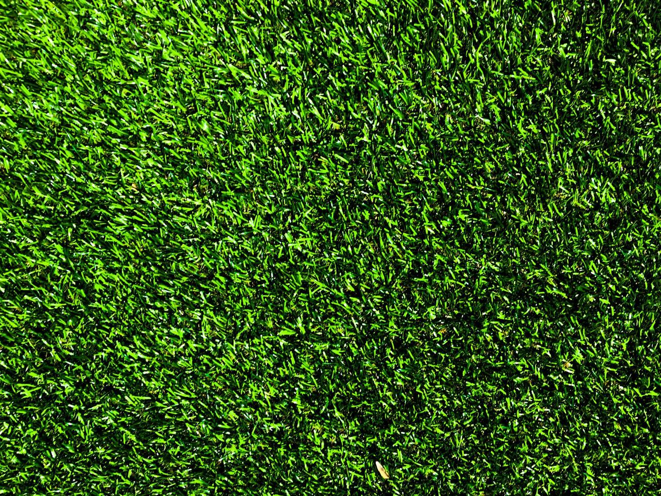Green grass texture use as natural background. Wallpaper for design artwork photo