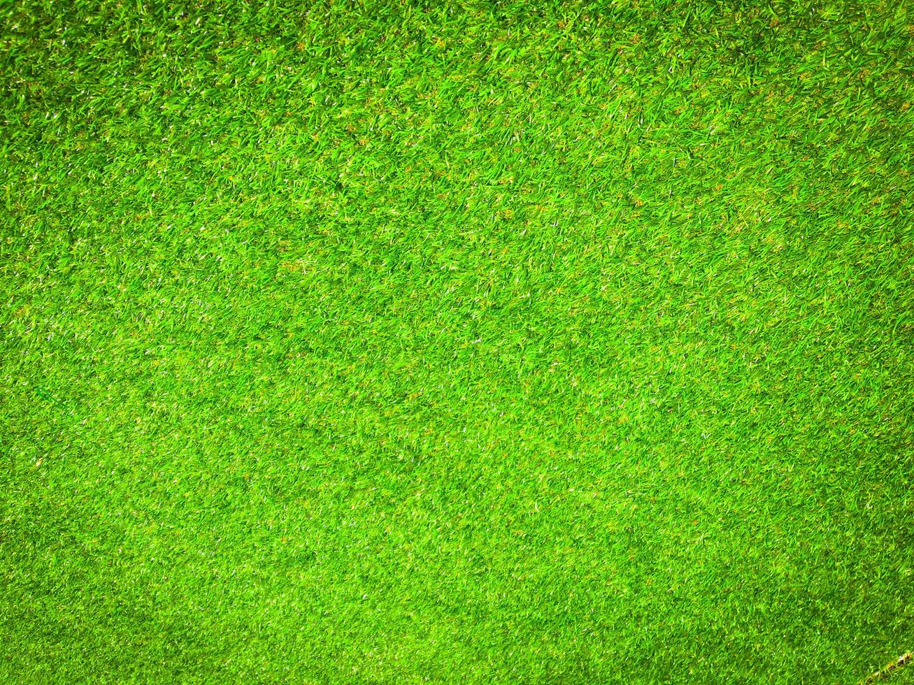 Closeup view of green grass soccer field background. Wallpaper for work and design. photo
