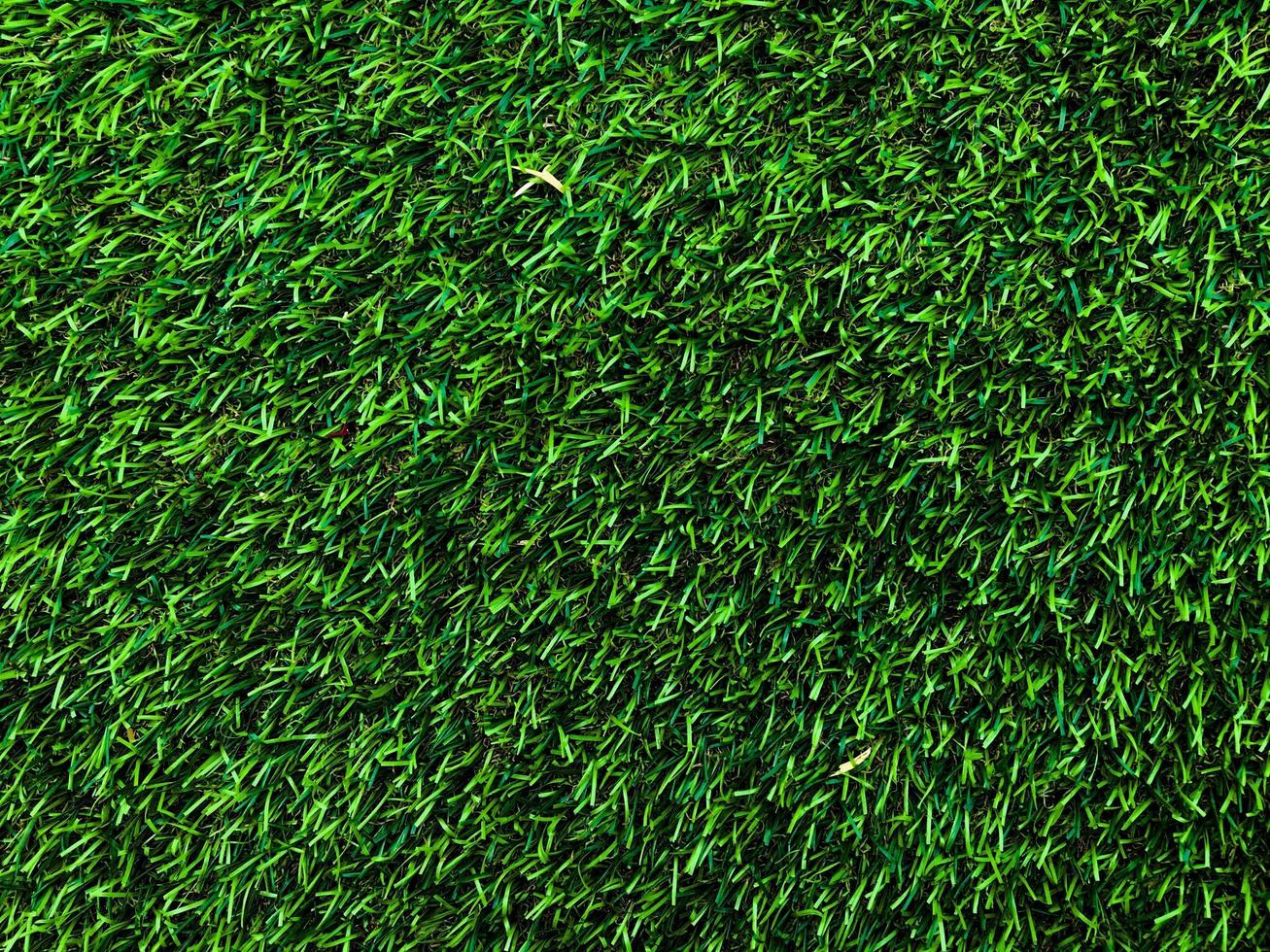 Closeup view of green grass soccer field background. Wallpaper for work and design. photo