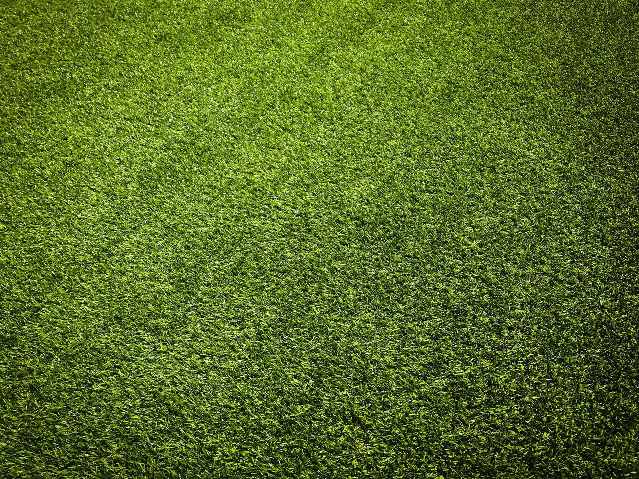 Green grass in the natural background for design photo