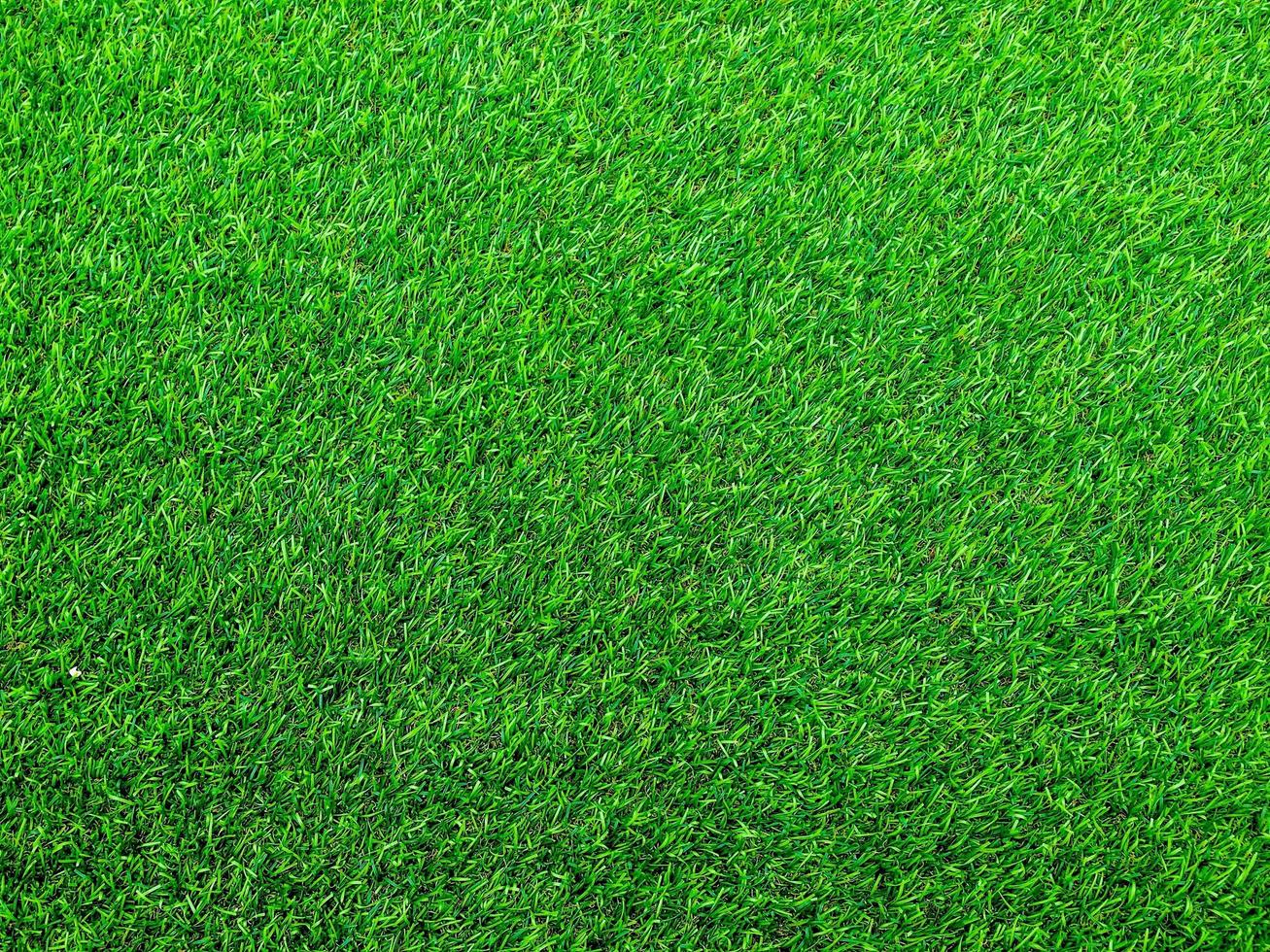 Closeup view of green grass soccer field background. Wallpaper for work and design. photo