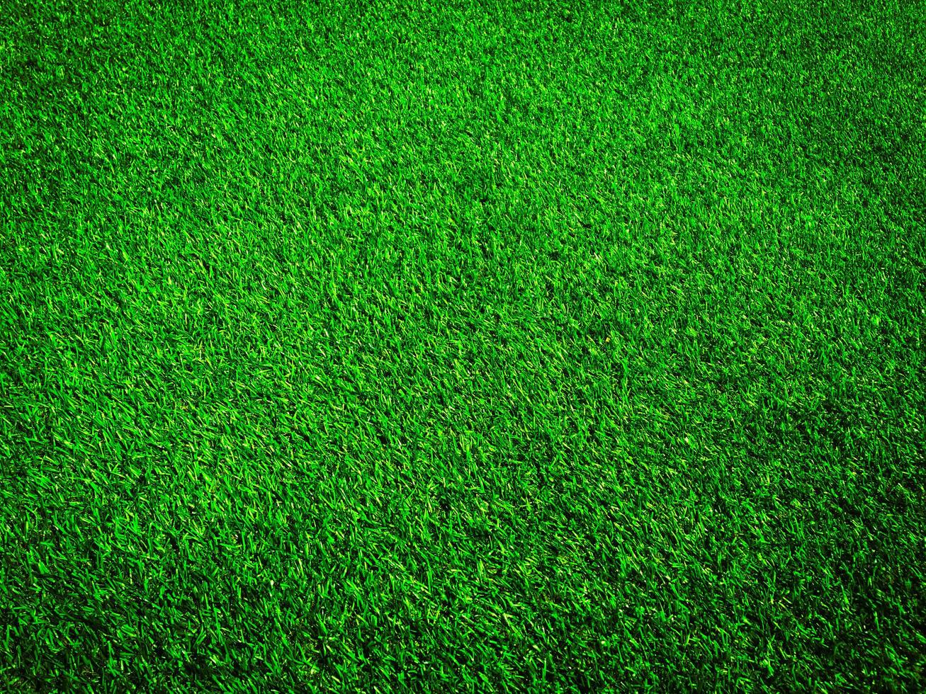 Green grass in the natural background for design photo