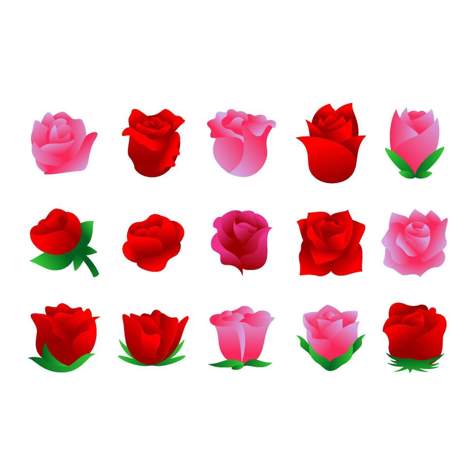 conjunto de vectores de flores rosas. icono de flor de rosa. plantilla de adorno de boda de flor rosa. ilustración de vector de flor color de rosa.