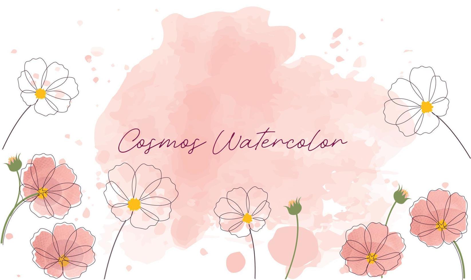 Vector illustration of cosmos frame flower material on the bottom of the white background. Cosmos watercolor pink background vector illustration for decoration.