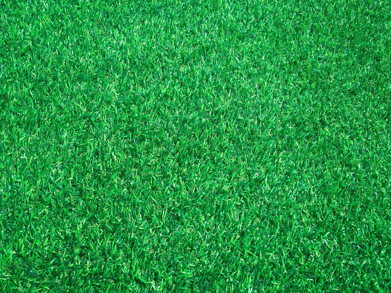 Green grass close up view in the jungle with copy space for design photo