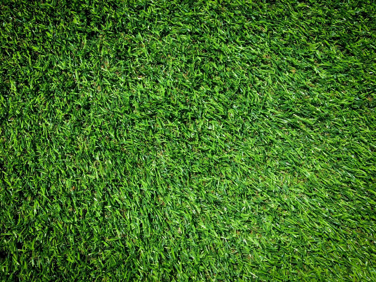 Green grass texture use as natural background. Wallpaper for design artwork photo