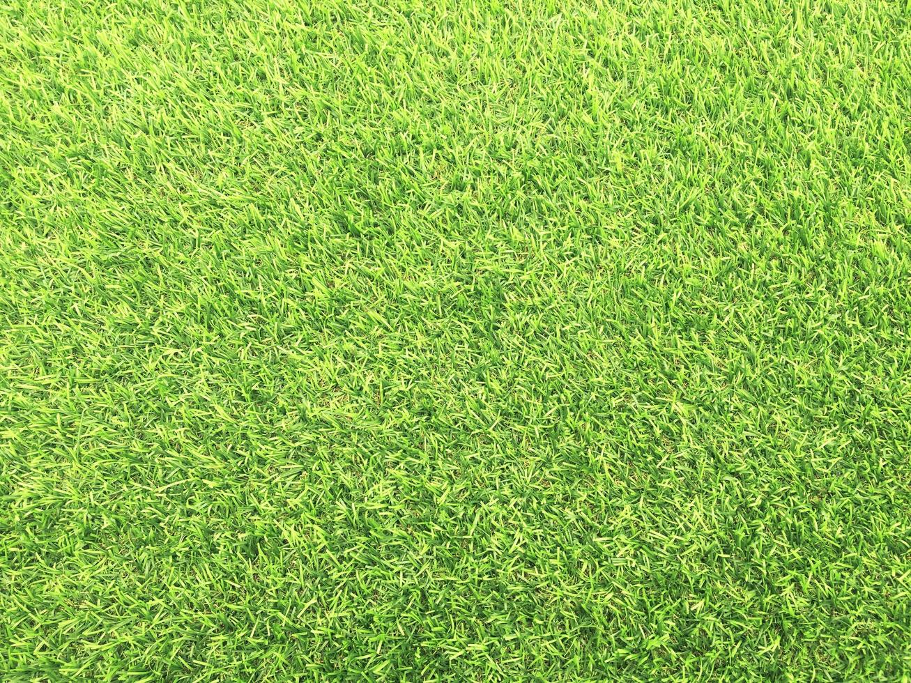 Closeup view of green grass soccer field background. Wallpaper for work and design. photo