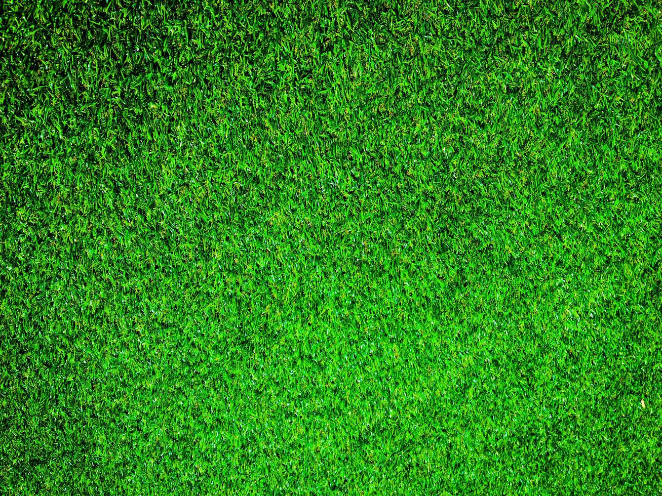 Closeup view of green grass soccer field background. Wallpaper for work and design. photo
