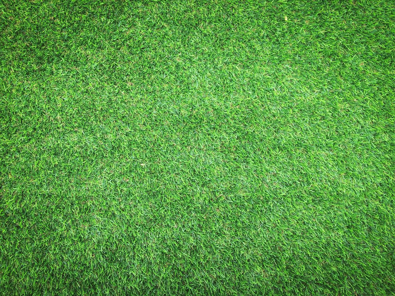 Nature green grass texture background for design. Eco concept. photo