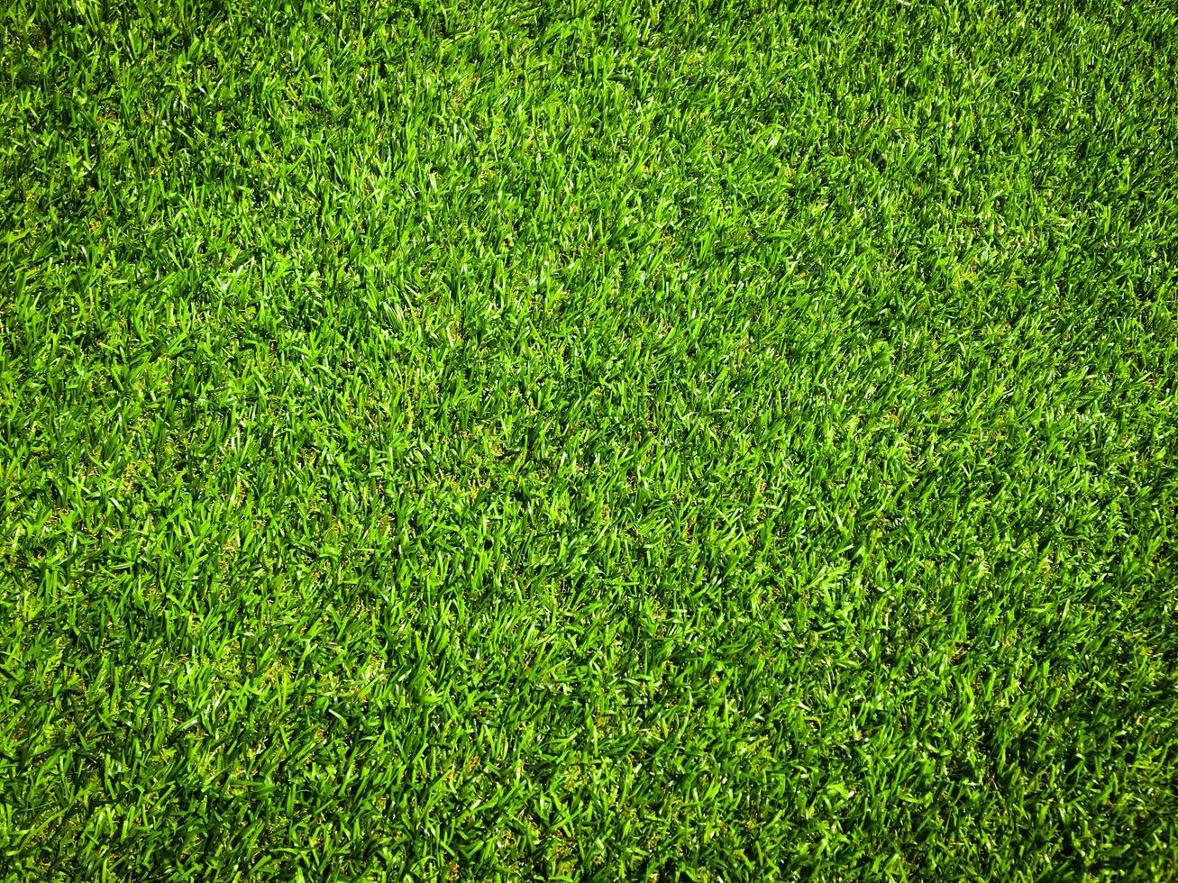 Closeup view of green grass soccer field background. Wallpaper for work and design. photo