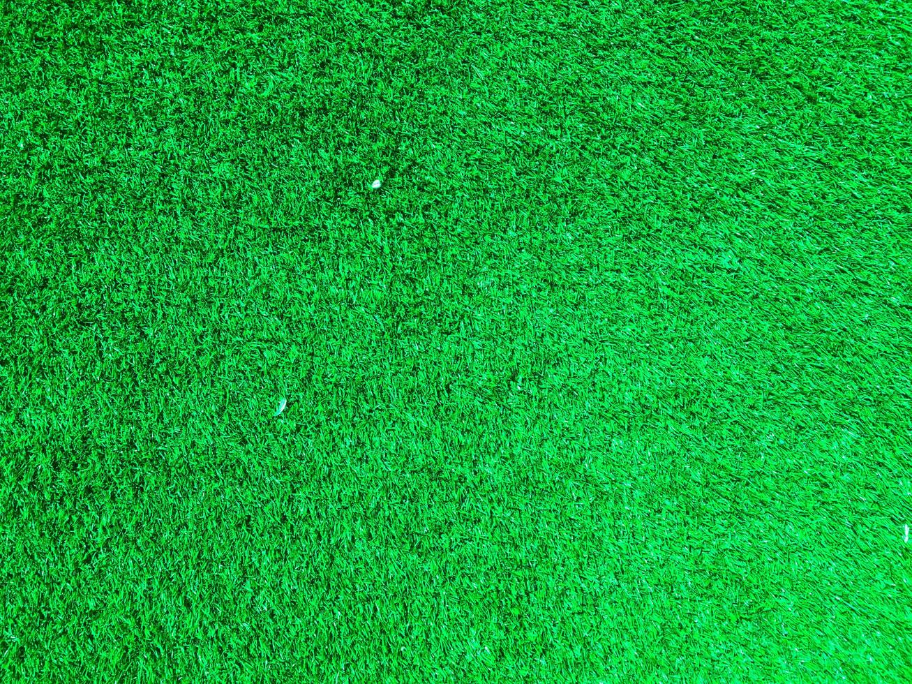 Green grass texture use as natural background. Wallpaper for design artwork photo