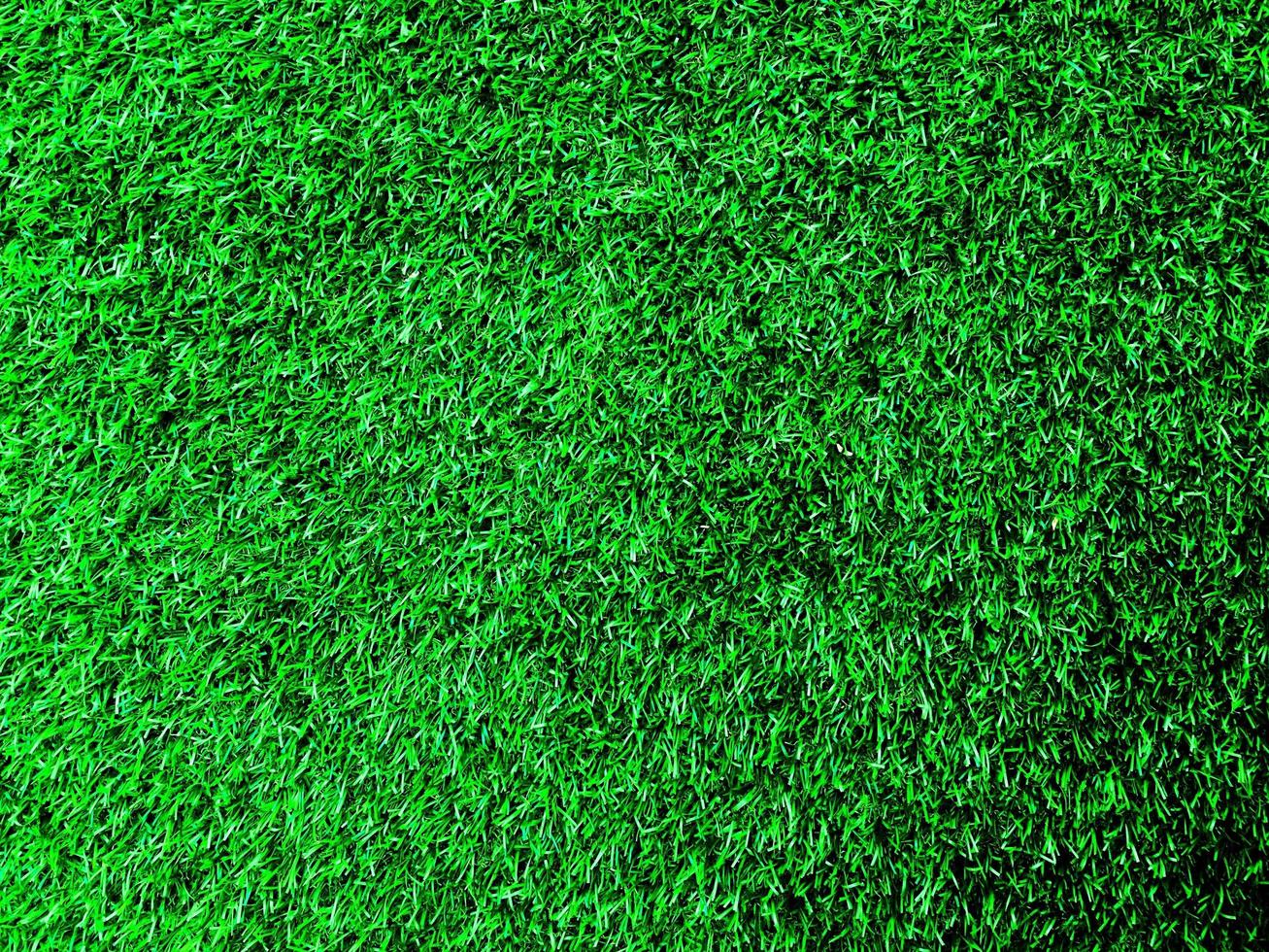 Top view of green grass texture background. Element of design. photo