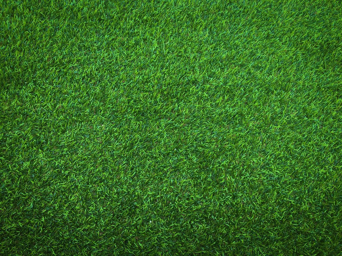Closeup view of green grass soccer field background. Wallpaper for work and design. photo
