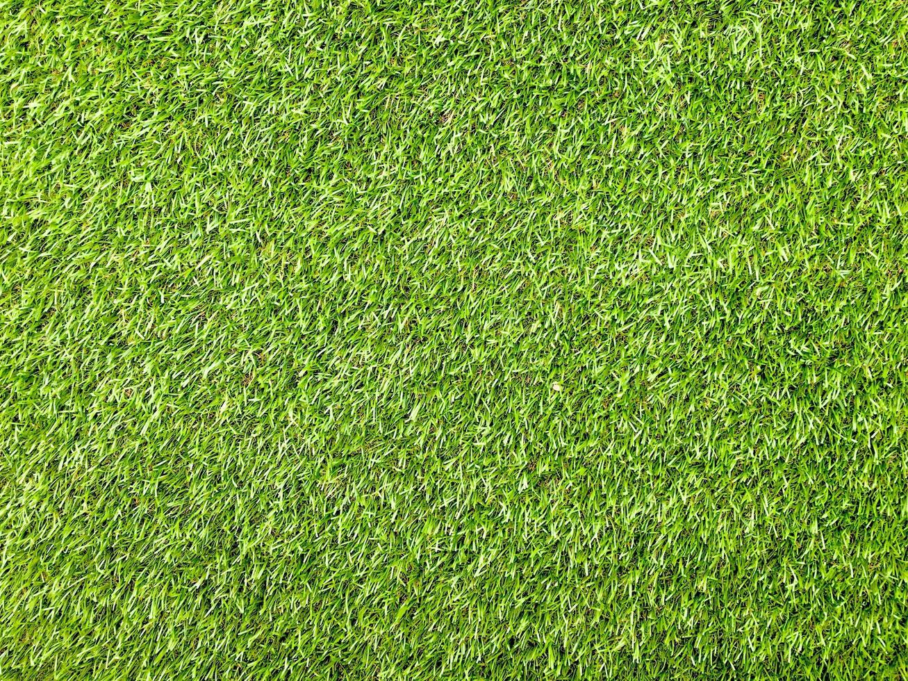 Modern green lawn texture background. Wallpaper for work and design. photo