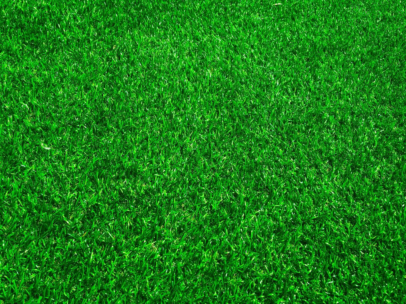 Green grass close up view in the jungle with copy space for design photo
