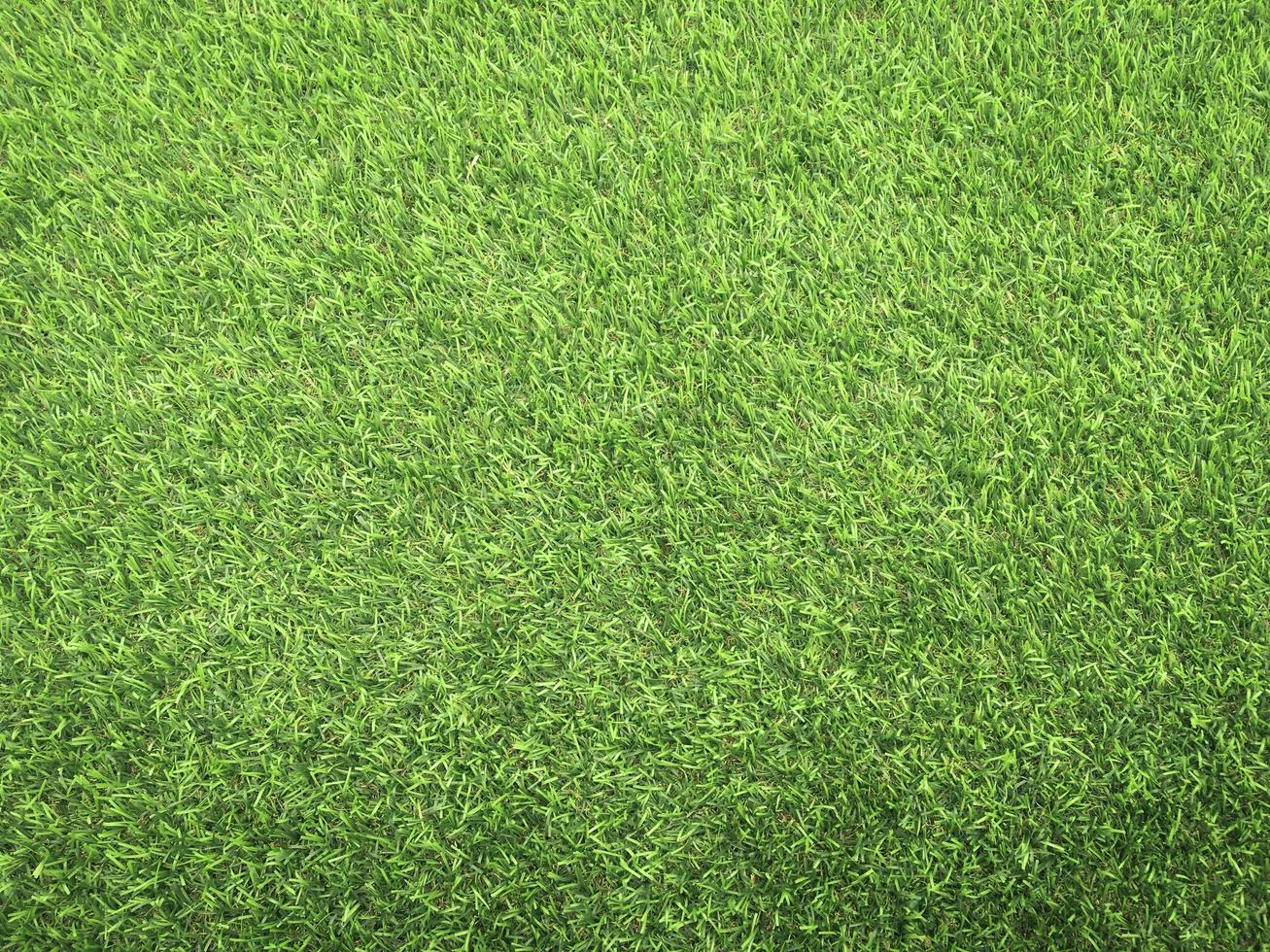 Closeup view of green grass soccer field background. Wallpaper for work and design. photo