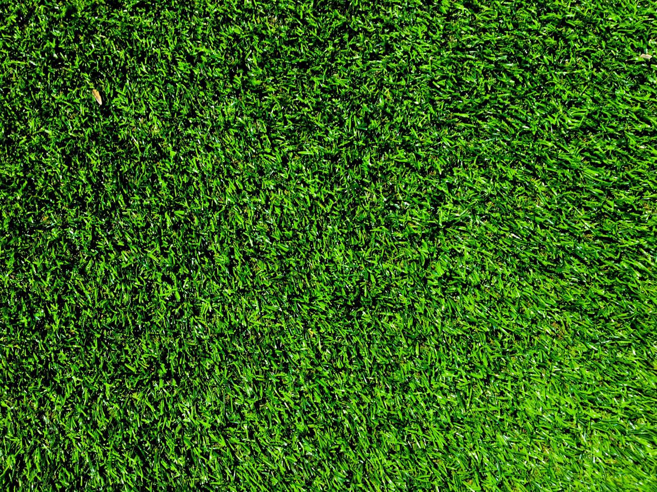 Green grass texture use as natural background. Wallpaper for design artwork photo