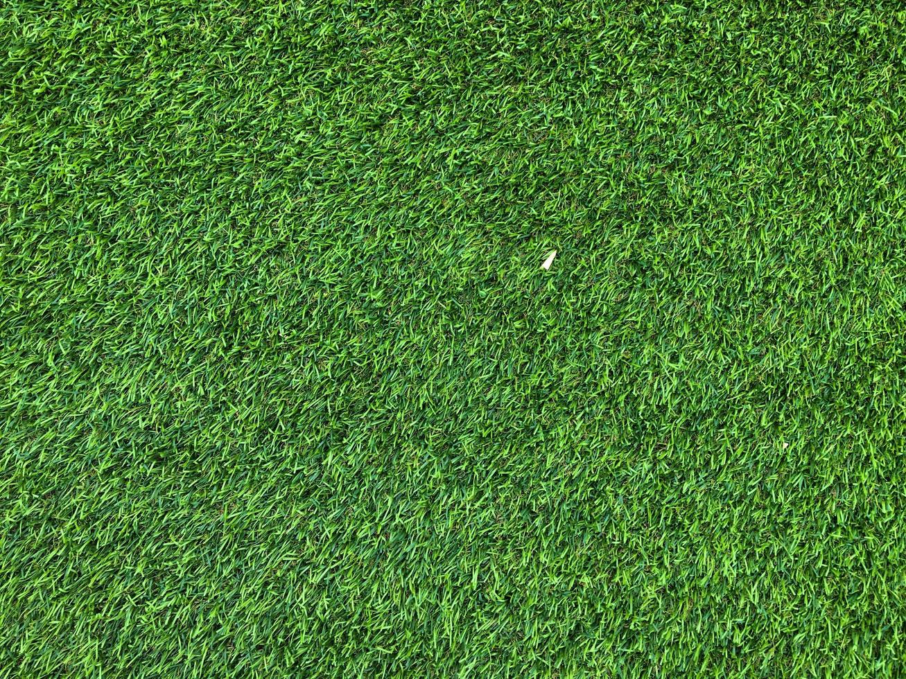 Modern green lawn texture background. Wallpaper for work and design. photo