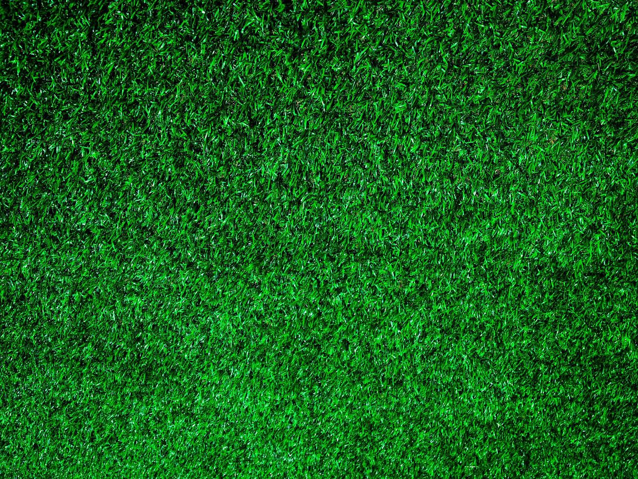 Closeup view of green grass soccer field background. Wallpaper for work and design. photo